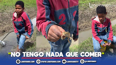 Niño pesca sapos en un charco para tener algo que comer: la dura pobreza en Colombia