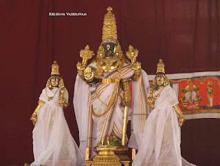 Sri Parthasarathy Perumal, Dhavana Utsavam, Thirumanjanam, Purappadu,  Triplicane,  Purappadu, Thiruvallikeni, Utsavam, 