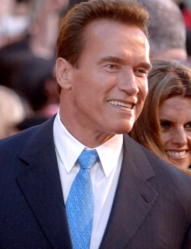 who is arnold schwarzenegger wife. arnold schwarzenegger wife and