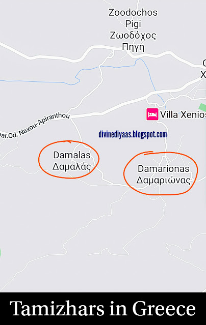 Damalias in Greece