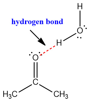 acetone water hydrogen bonding