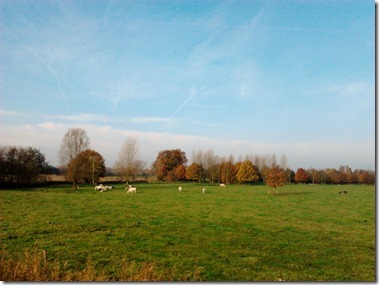 2012-11-20 10.51.58
