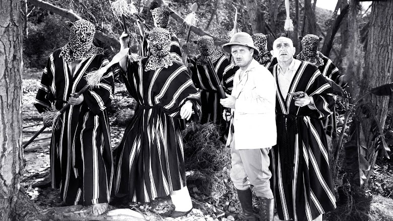 Terry and the Pirates 1940 online español latino gnula