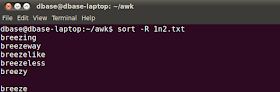 linux random sort command