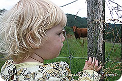IMG_2706
