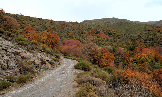 Dehesa del Camarate de Lugros, Granada, senderismo