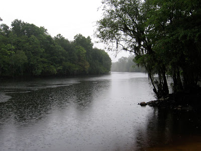 Black River outside Andrews, SC