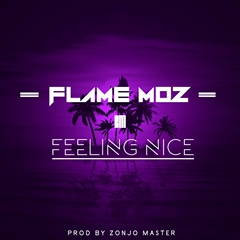 (R&B) Flame Moz - Feeling Nice (Prod. Zonjo Master) (2018)