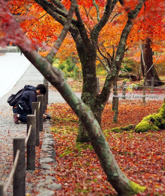 [京都] 南禅寺の紅葉