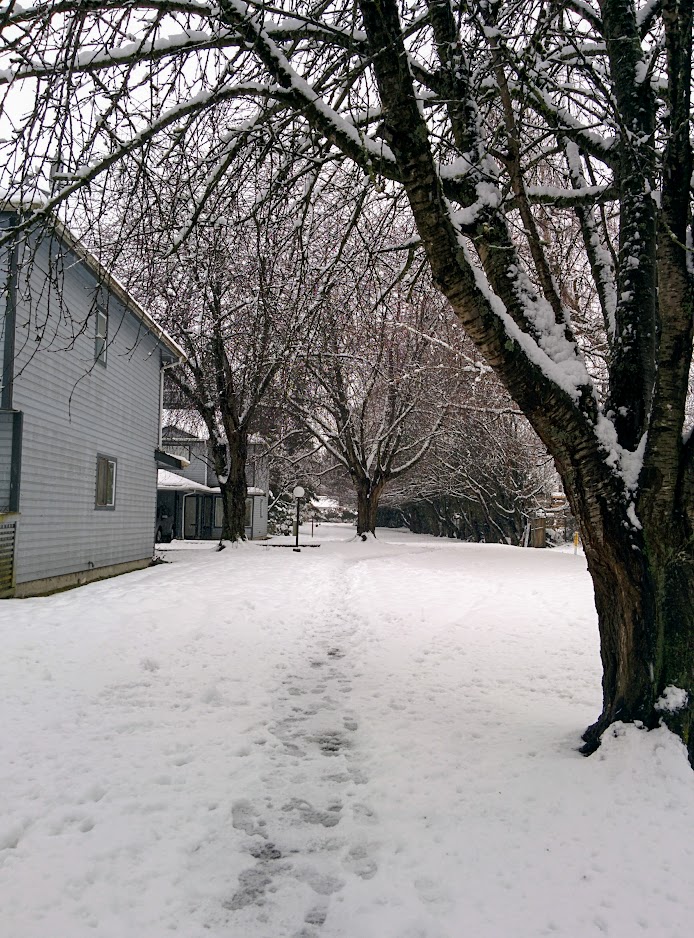 Snow