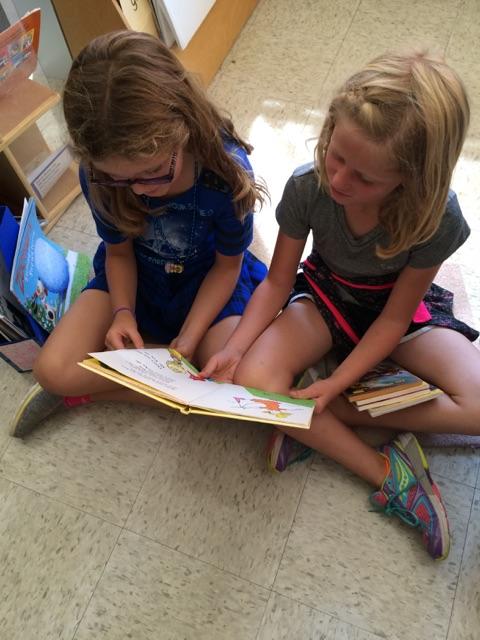 Partner Reading.
