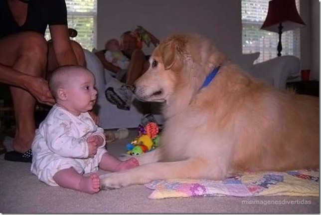1 - niños con perros misimagenesdivertidas  (30)