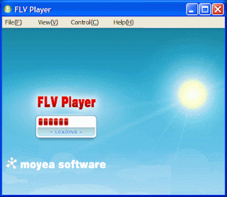 Moyea FLV Player