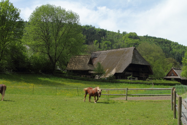 The Black Forest Farmhouses at Vogtsbauernhof, Germany