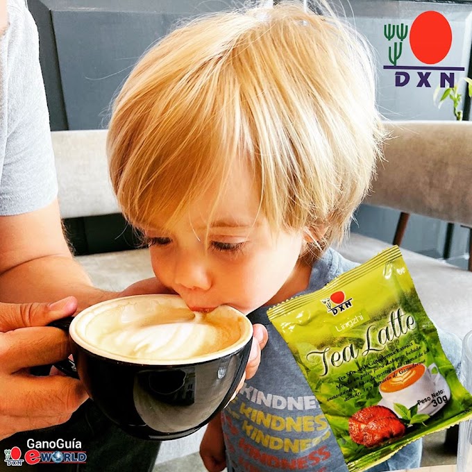 Deliciosa Bebida para toda la Familia - Lingzhi Tea Latte