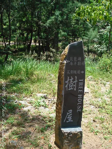 台東親子遊｜台東森林公園｜黑森林公園~如夢似幻的琵琶湖