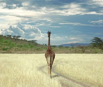 Africa-travel-photos-19