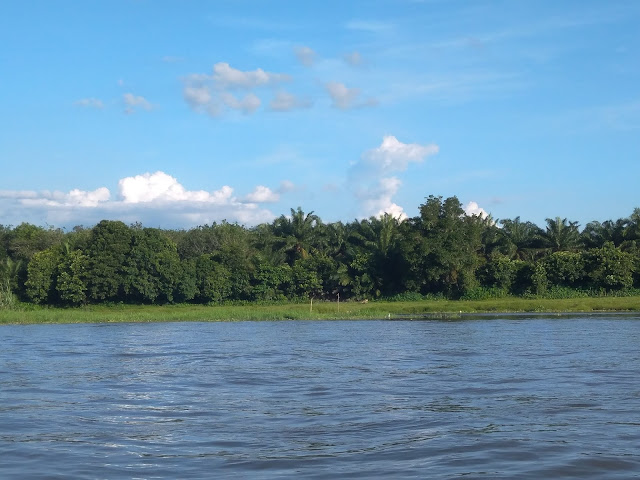 pemandangan di Teluk Jering