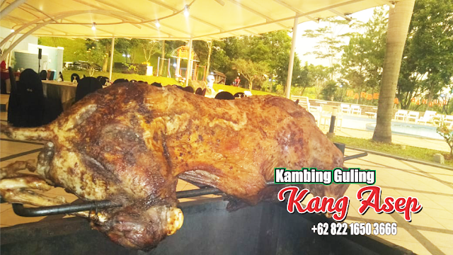 Barbecue Kambing Guling di Cikahuripan Lembang, kambing guling di lembang, kambing guling lembang, kambing guling di cikahuripan lembang, barbecue kambing guling, 