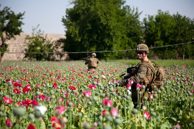 13opium-fields-13-1024x682