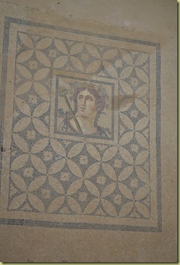 Ephesus House Floor Mosaic