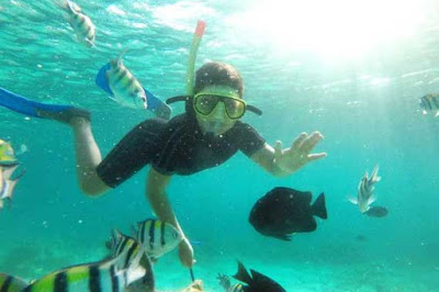 snorkeling vs diving