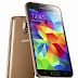 Samsung Galaxy S5 Active SM-G870x Details Surface