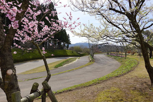 鳥取県西伯郡南部町鶴田 とっとり花回廊 グレイスガーデン