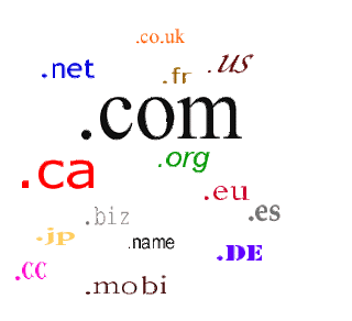 Understanding the Principles of Domain Names and Web Hosting