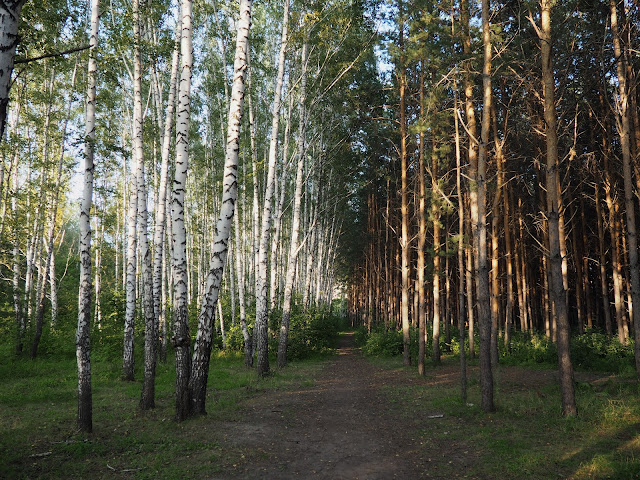 Новосибирский дендропарк