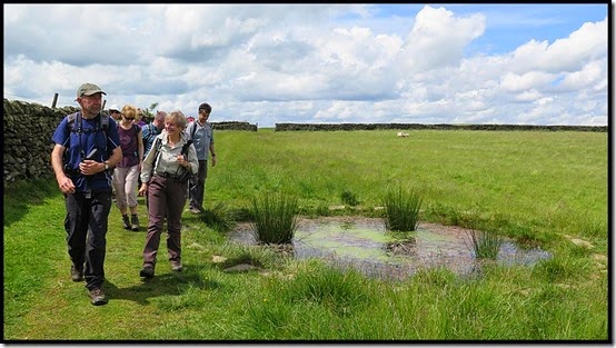 0821DewPond2
