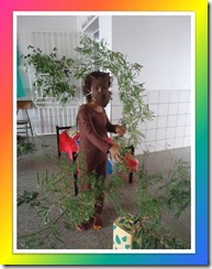 Imagem10