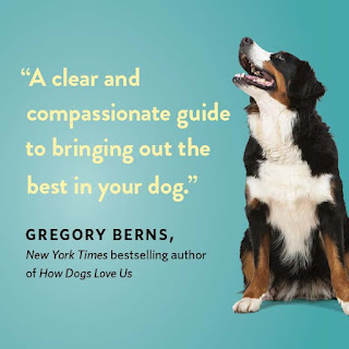 Wag is "a clear and compassionate guide to bringing out the best in your dog"