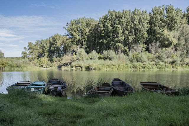 Ufer Nationalpark Donauauen © Chris Zintzen @ panAm productions 2019