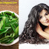 Best Uses of Curry Leaves For Hair Growth