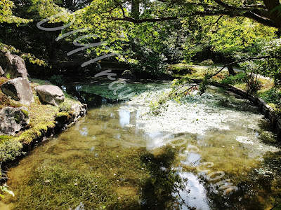 Pond before Jugetsukan