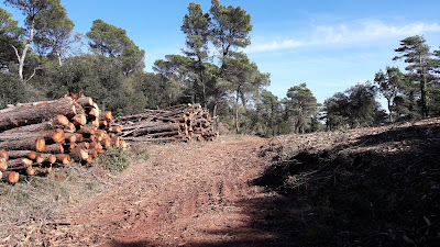 Prenafeta a Santes Creus GR-175 Ruta del Cister, Coll de l'Era del Caterí