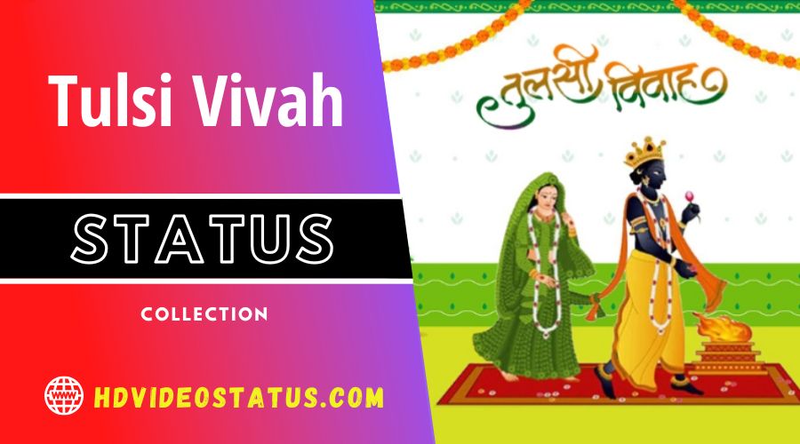 Tulsi Vivah  Status Video Download - hdvideostatus.com