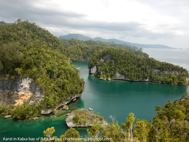 Wawiyai karst in Kabui bay of Raja Ampat islands