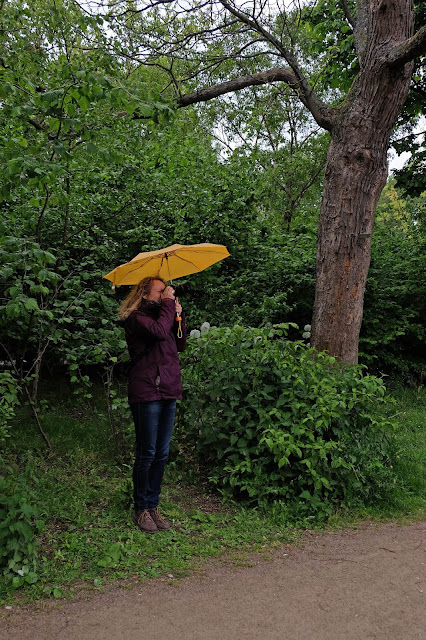 shooting from underneath an umbrella