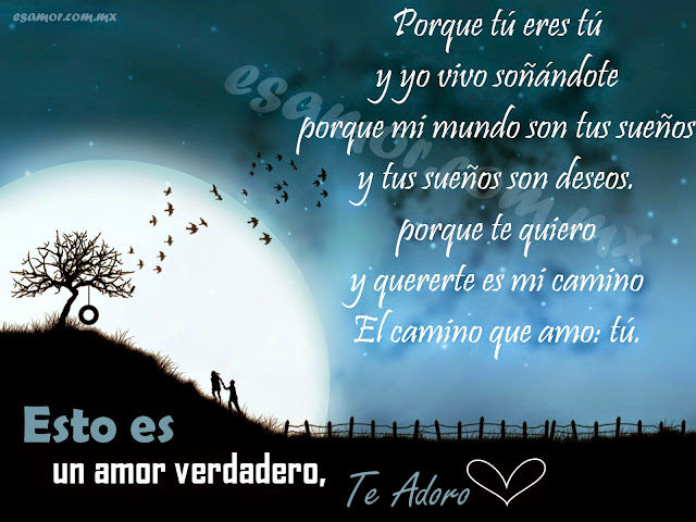 Poemas de amor cortos para enamorar, imagenes, postales