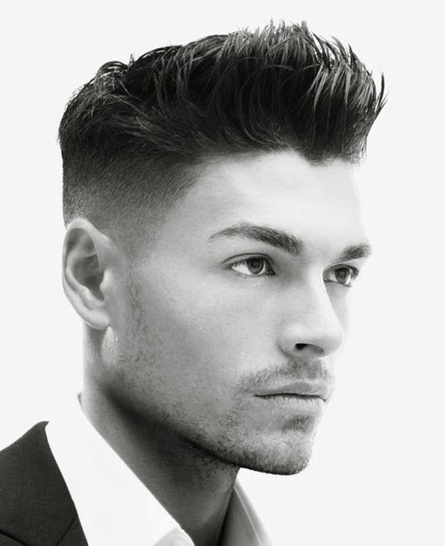 Mens Hairstyles 2013