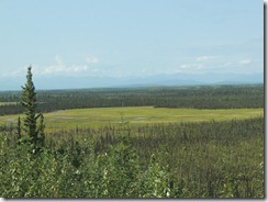 DSCN5061