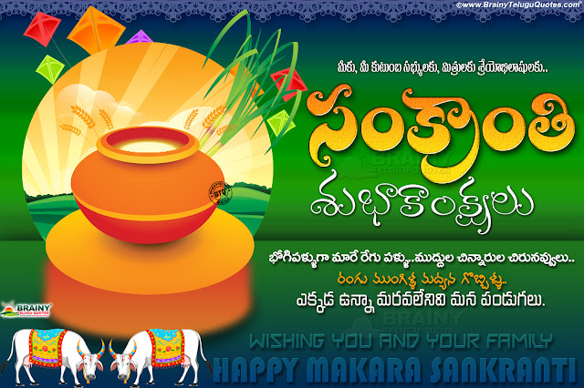 makara sankranthi images greetings on makara sankranthi in telugu, telugu sankranthi wallpapers