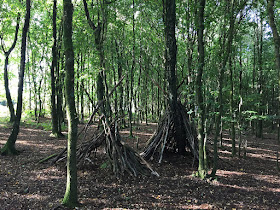 Camps in a grove on Ashdown Forest.