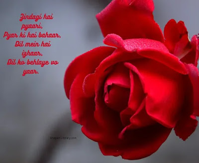 Emotional Love Shayari