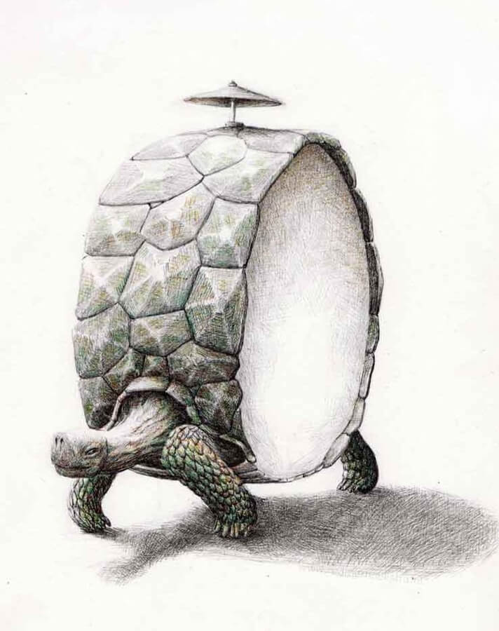 07-The-tortoise-the-drum-Animal-Drawings-Redmer-Hoekstra-www-designstack-co