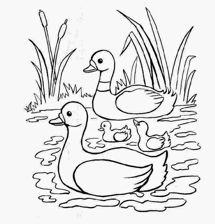 Bunga Coloring Pages Coloring Pages