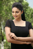 Sanam Shetty Glamorous Photos-thumbnail-9