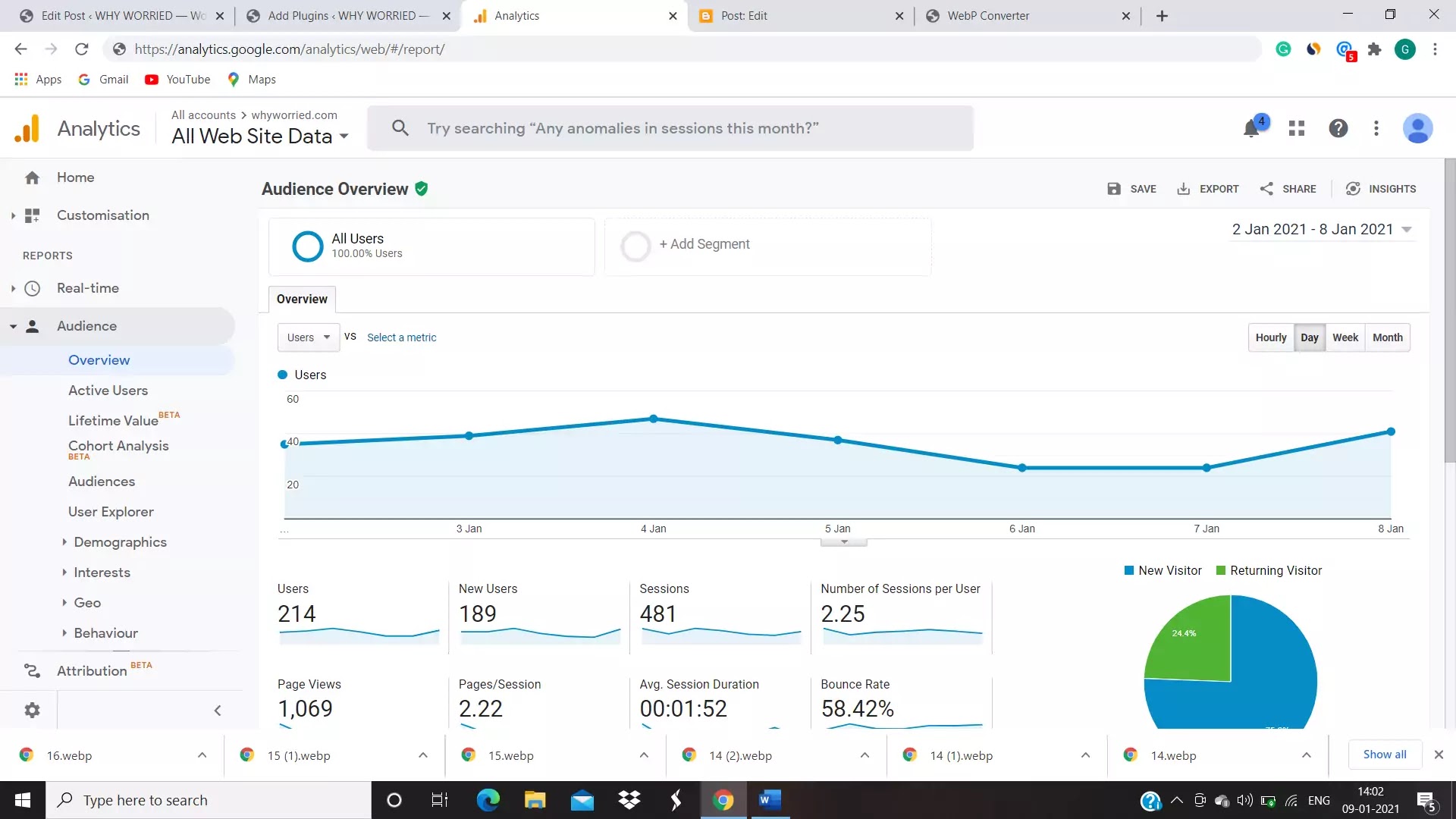 images of audiences overview in google analytic